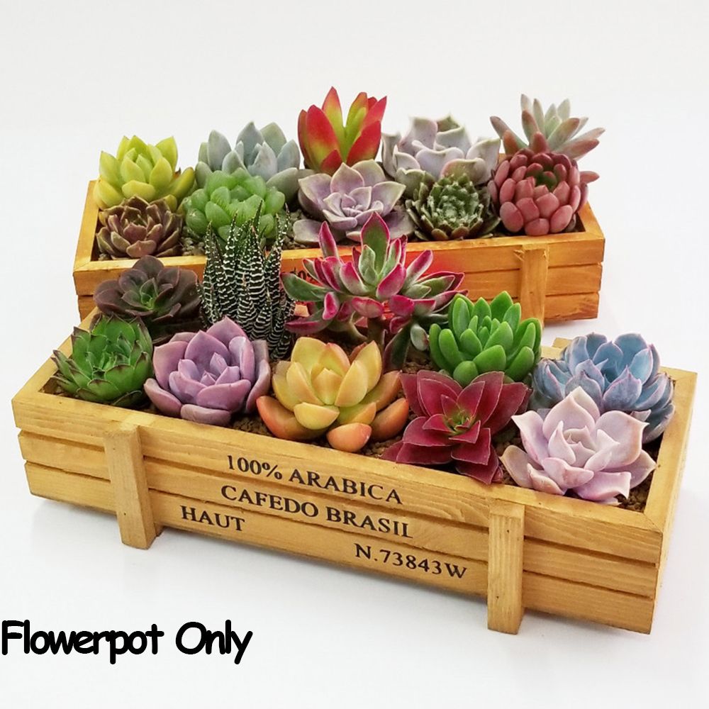 Gardening Tools Organiser - 1 PC Tools Garden Decor Trough