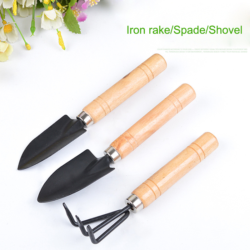 3Pcs/Set Mini Garden Tool Set  - Gardening Tools For Weeds 리뷰 및 가격