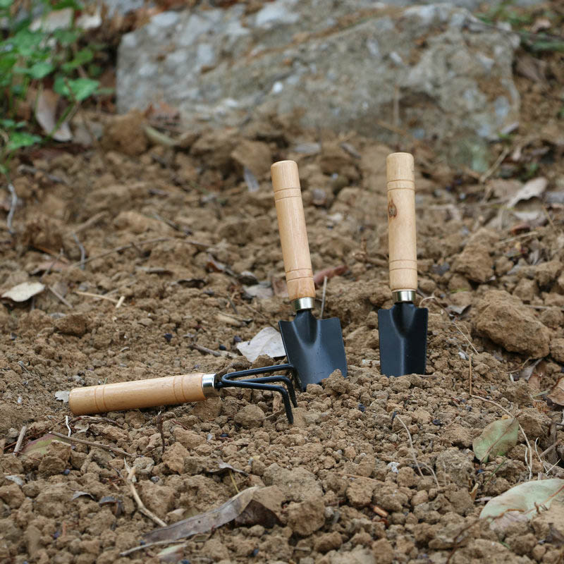 3Pcs/Set Mini Garden Tool Set  - Gardening Tools For Weeds 리뷰 및 가격