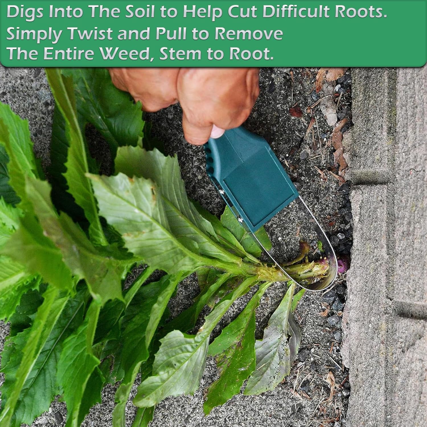 Weed Puller Tool for Gardening - Gardening Tools Images 리뷰 및 가격