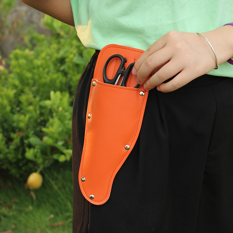 Garden Pruner Sheath Garden Pr - Gardening Tools Organiser 리뷰 및 가격
