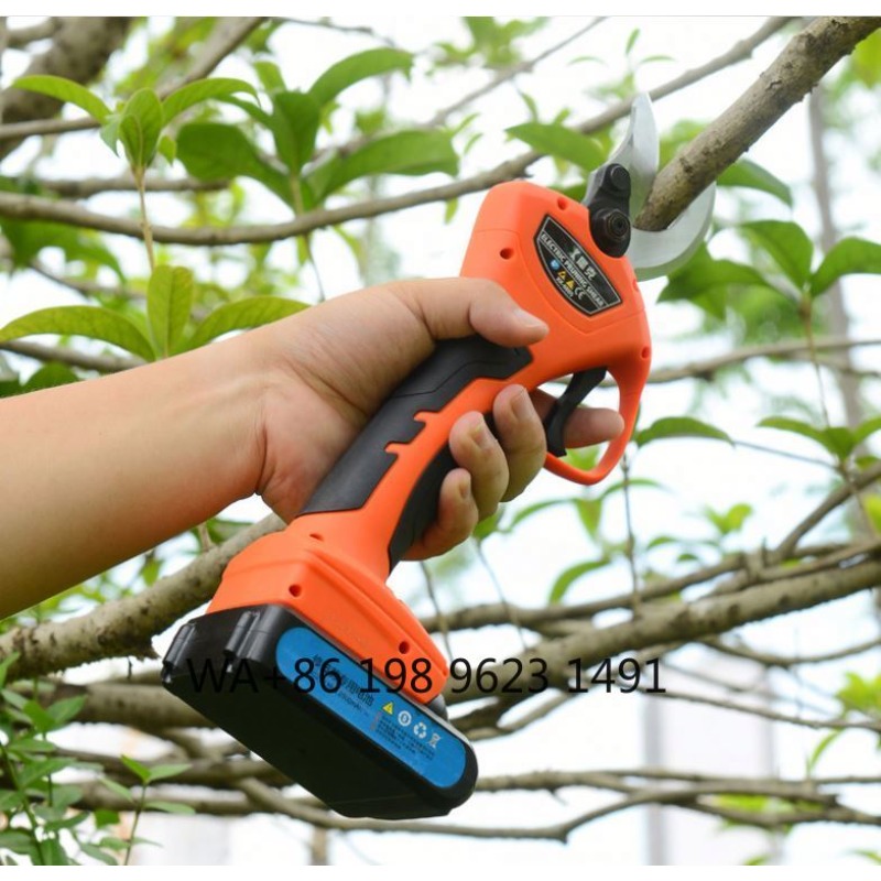 Lightweight cordless garden pr - Gardening Tools Range 리뷰 및 가격