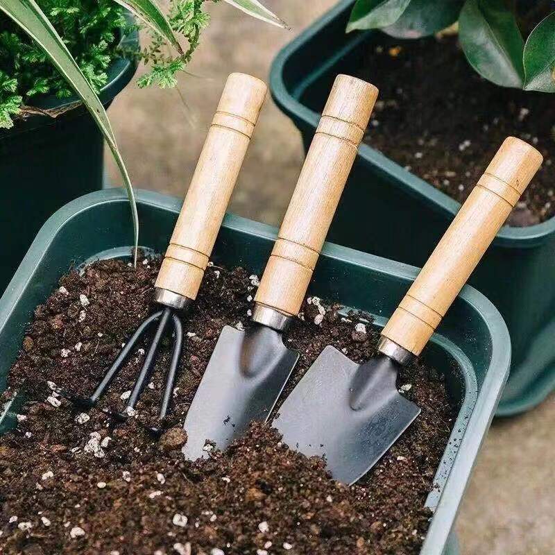 3Pcs Mini Gardening Tool Set w - Gardening Tools Rake 리뷰 및 가격