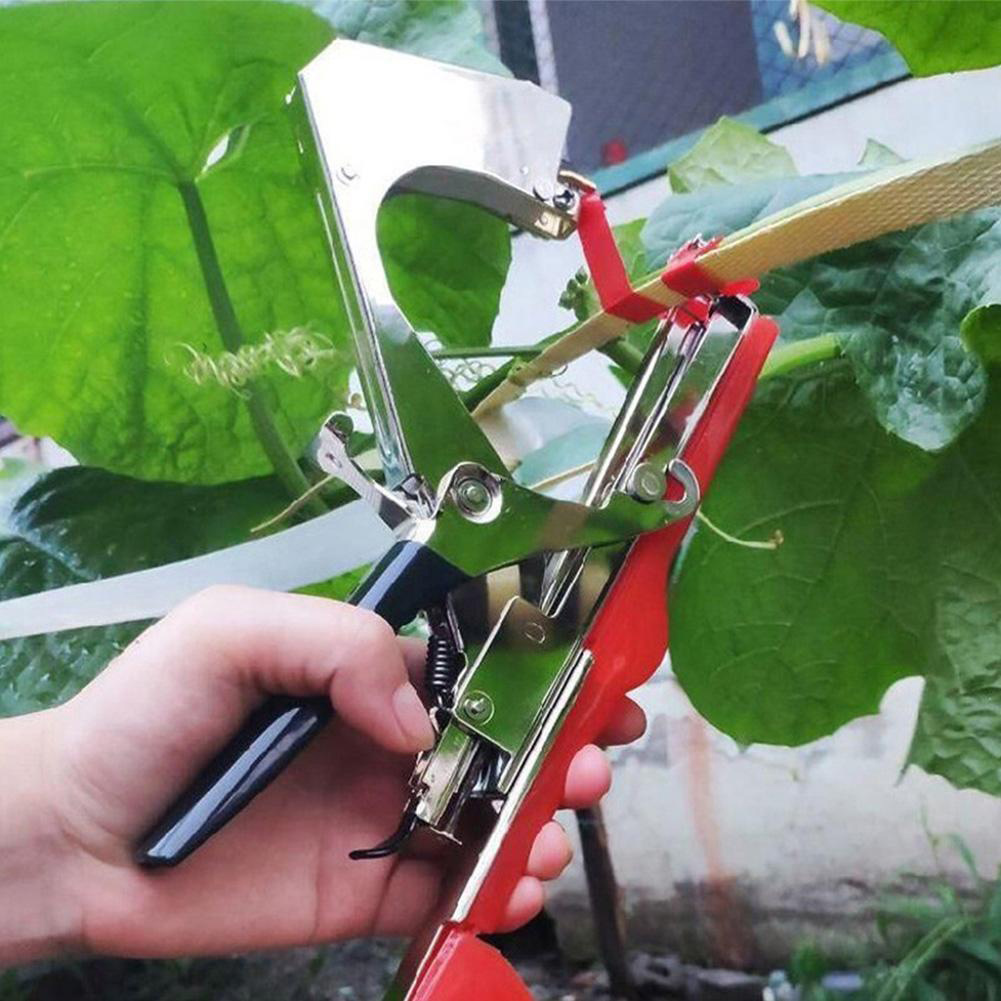 12/20pcs Plant Tying Tape with - Gardening Tools Organiser 리뷰 및 가격