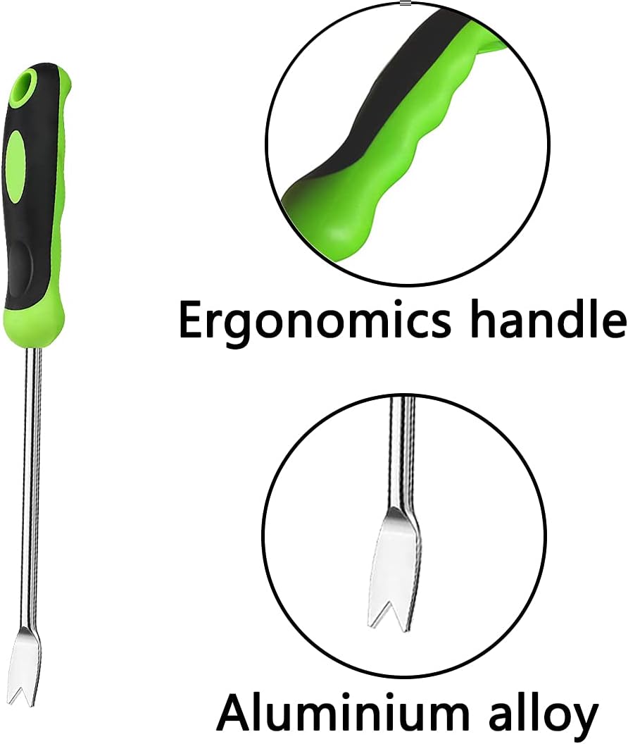 Stainless Steel Hand Weeder To - Gardening Tools Images 리뷰 및 가격