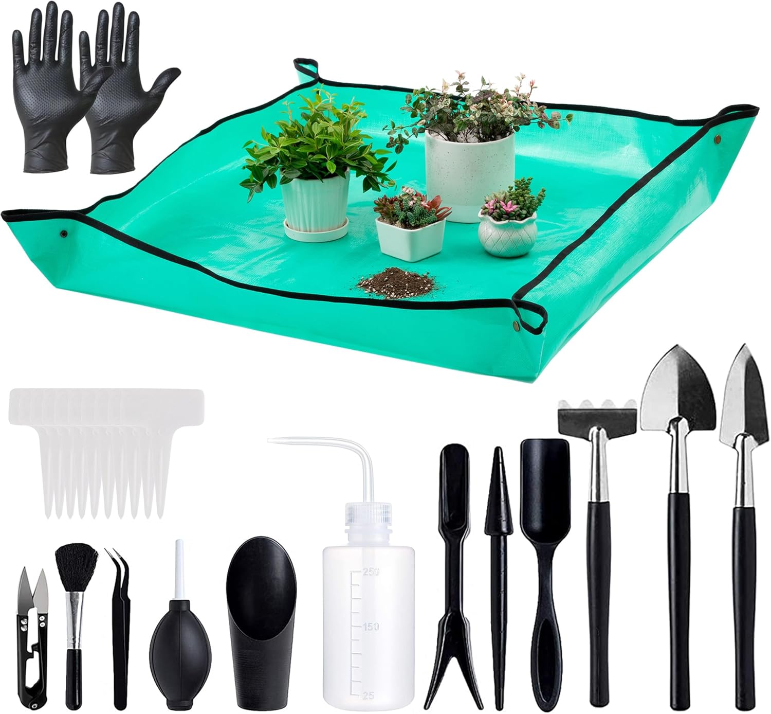 25Pcs Mini Garden Hand Transpl - Gardening Tools Images 리뷰 및 가격