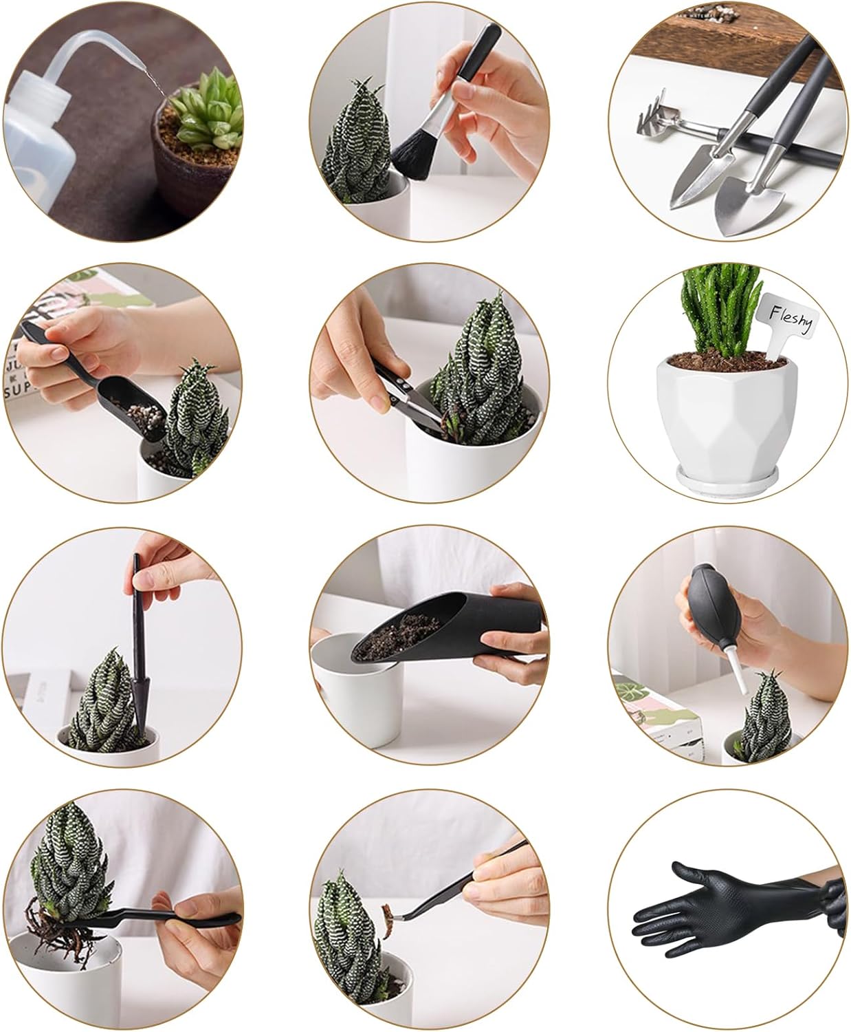 25Pcs Mini Garden Hand Transpl - Gardening Tools Images 리뷰 및 가격
