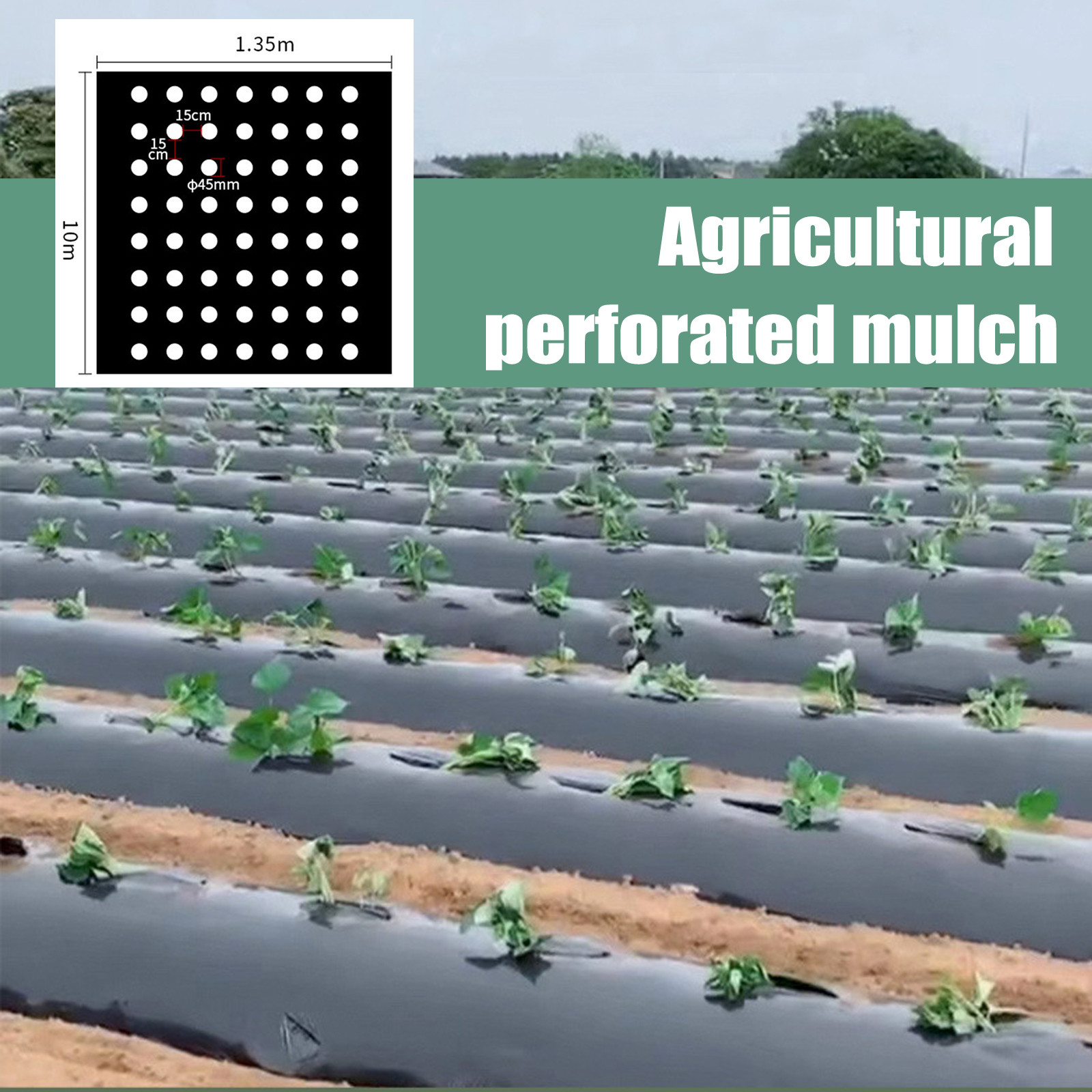 PE Perforated Mulch Film Farm  - Gardening Tools For Weeds 리뷰 및 가격