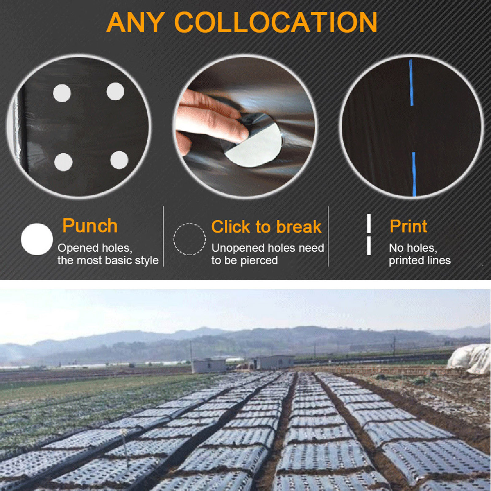 PE Perforated Mulch Film Farm  - Gardening Tools For Weeds 리뷰 및 가격