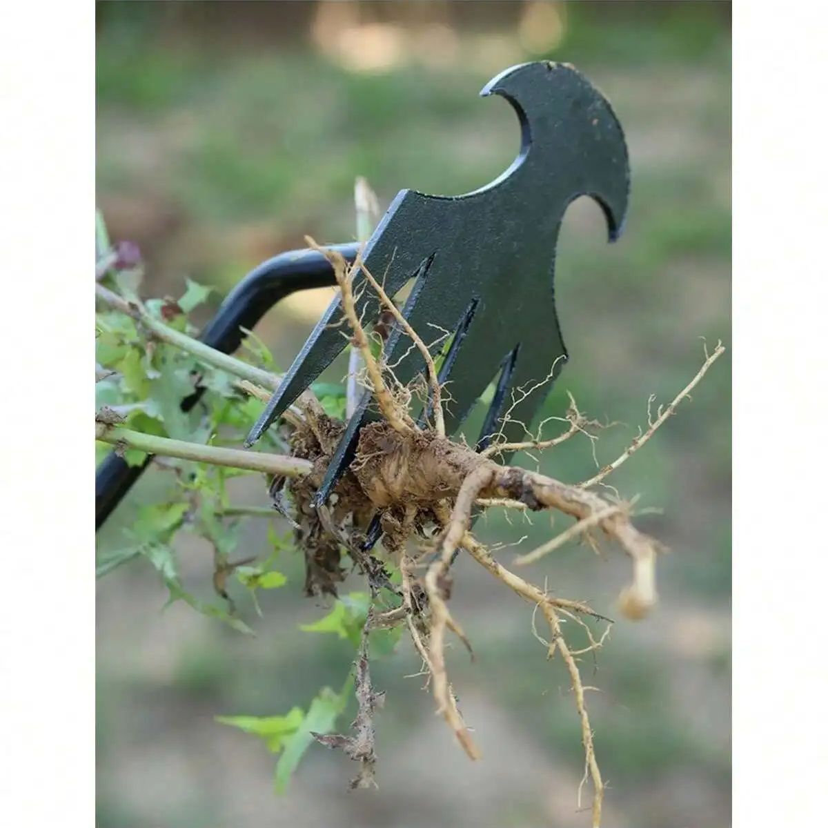 4 Teeths - Multifunctional Han - Gardening Tools For Weeds 리뷰 및 가격