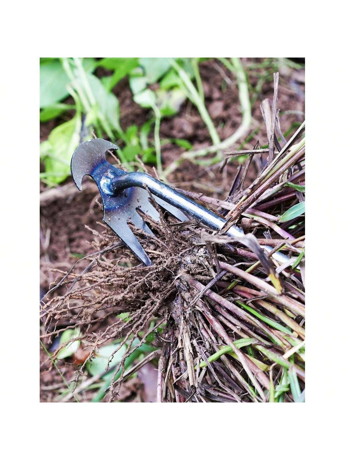 4 Teeths - Multifunctional Han - Gardening Tools For Weeds 리뷰 및 가격